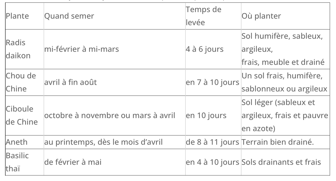 Coffret : Je fais pousser mon menu asiatique BIO – Image 6