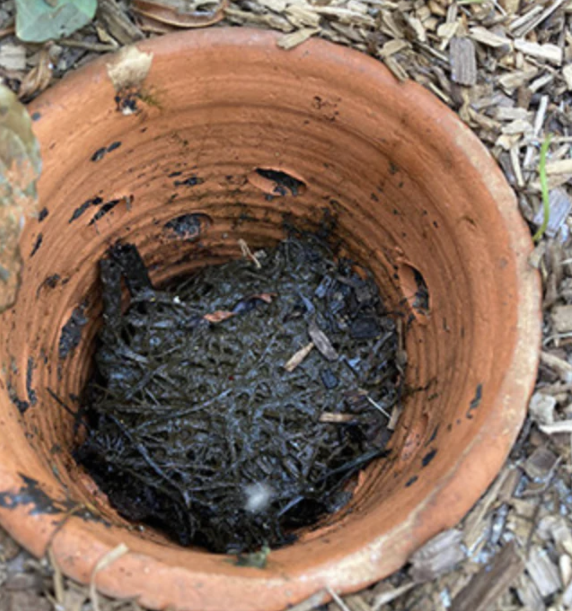 Lombricomposteur à enterrer – 1,8 L – Image 7