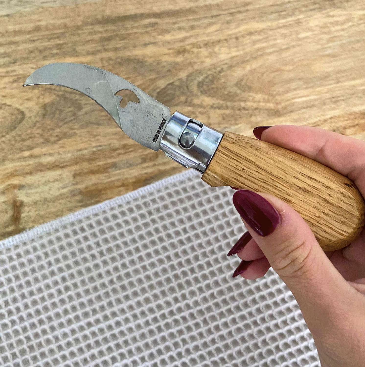 Couteau de poche spécial champignon Olivier – Image 2