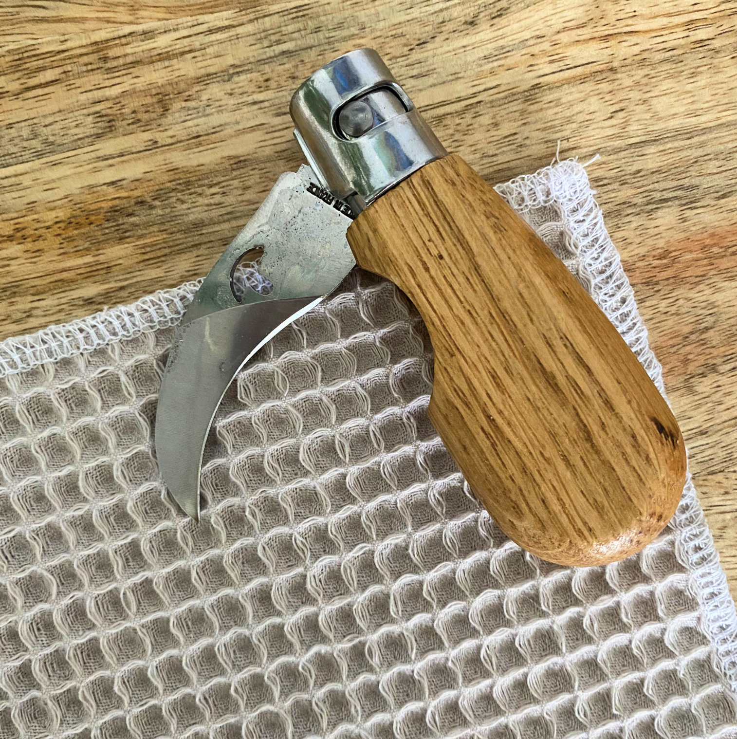 Couteau de poche spécial champignon Olivier – Image 3