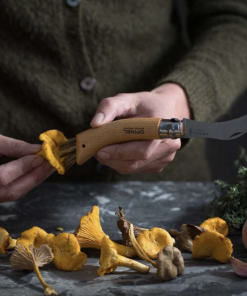 Couteau à champignon n°8