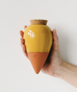 Olla pour arroser ses plantes de manière autonome – Moutarde – Pepin