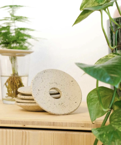 Coupelle d&rsquo;hydroculture et germination – Pepin