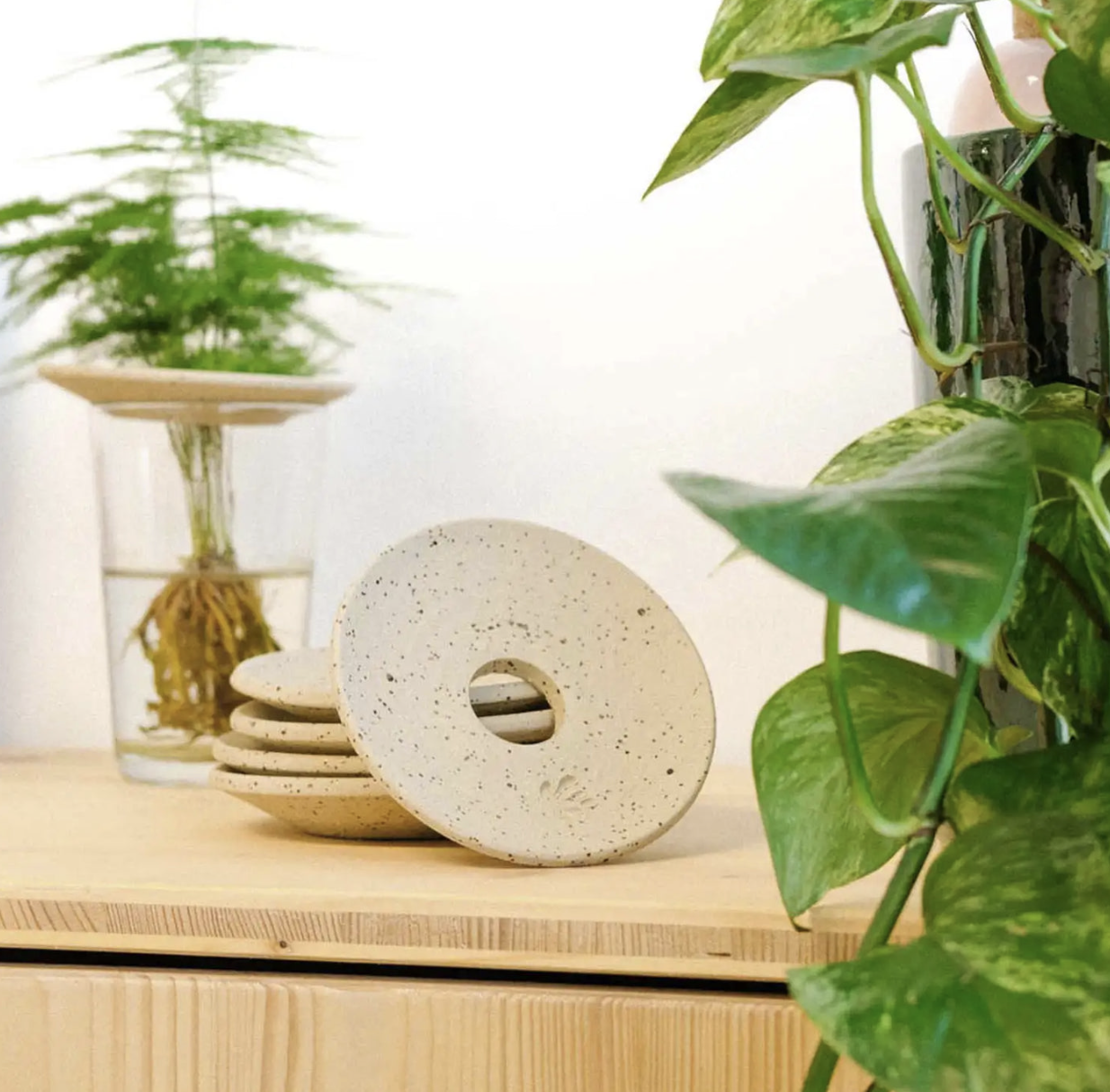 Coupelle d’hydroculture et germination – Pepin