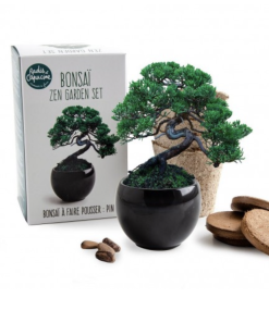 Kit Bonsaï – A faire pousser