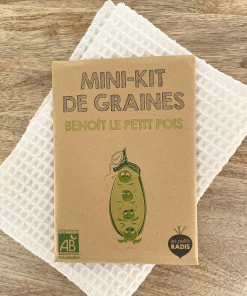 Mini kit de graines – Benoit le petit pois
