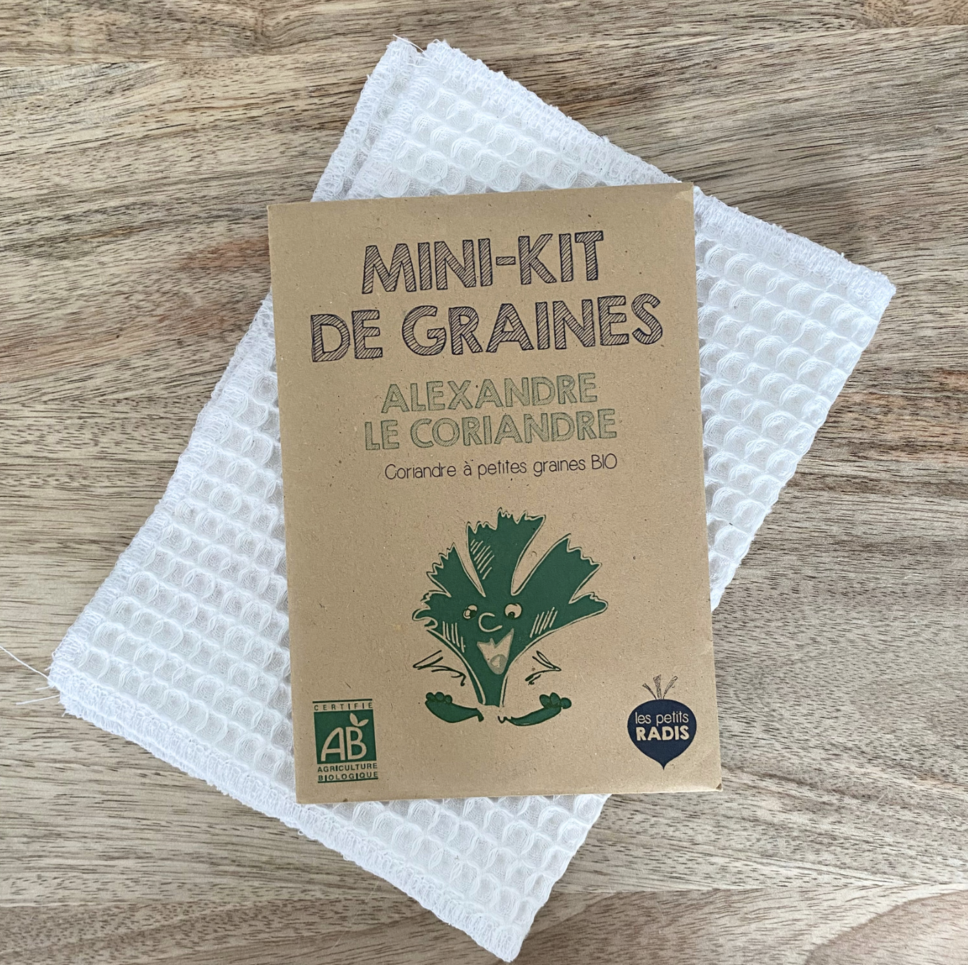 Mini kit de graines – Alexandre la coriandre