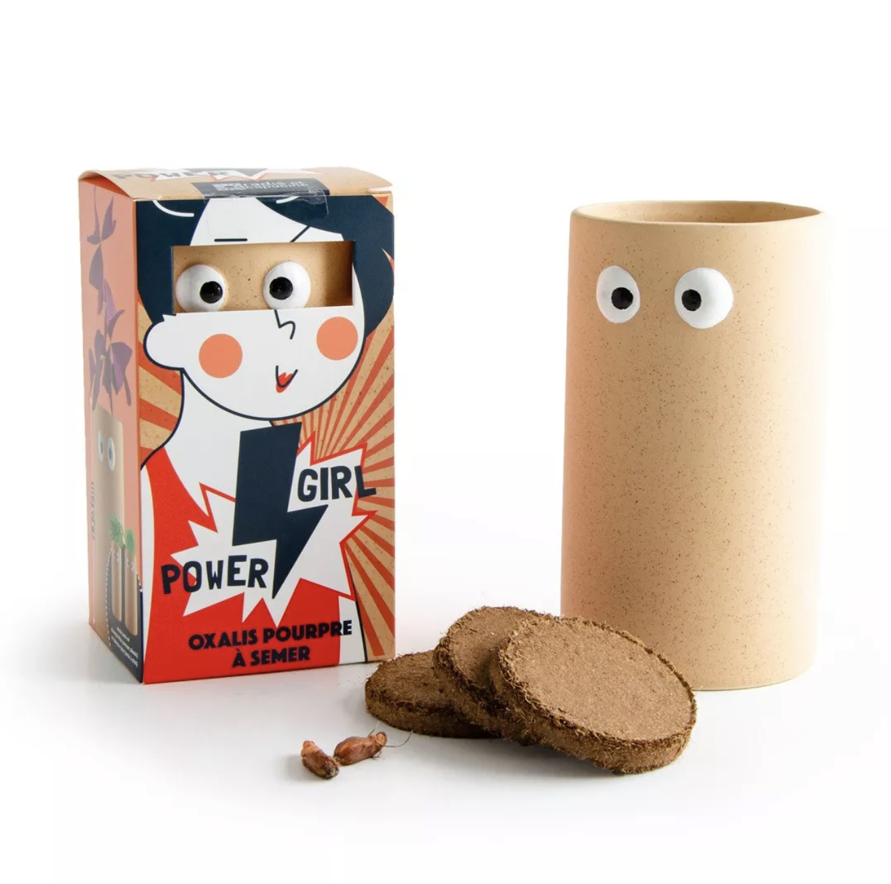 Girl power – Oxalis pourpre à faire pousser – Image 2