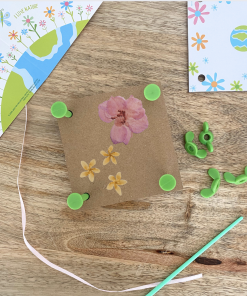 Kit DAM pour faire ses fleurs séchées