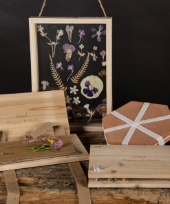 Presse à fleurs et herbes micro-ondes