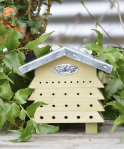 Abri abeilles en bois