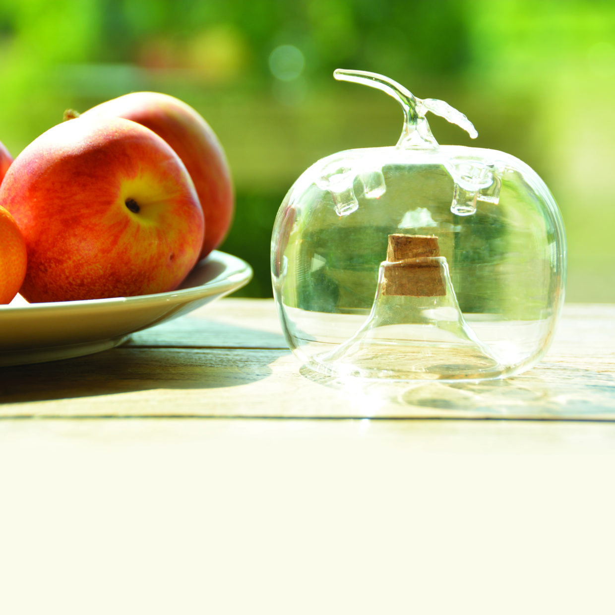 Attrape mouches des fruits pomme – Image 2