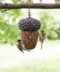 Mangeoire gland pour oiseaux