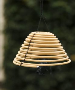 Citronnelle suspendue