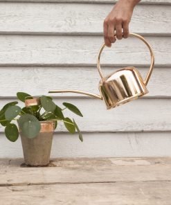 Ruban de cuivre escargots et fourmis