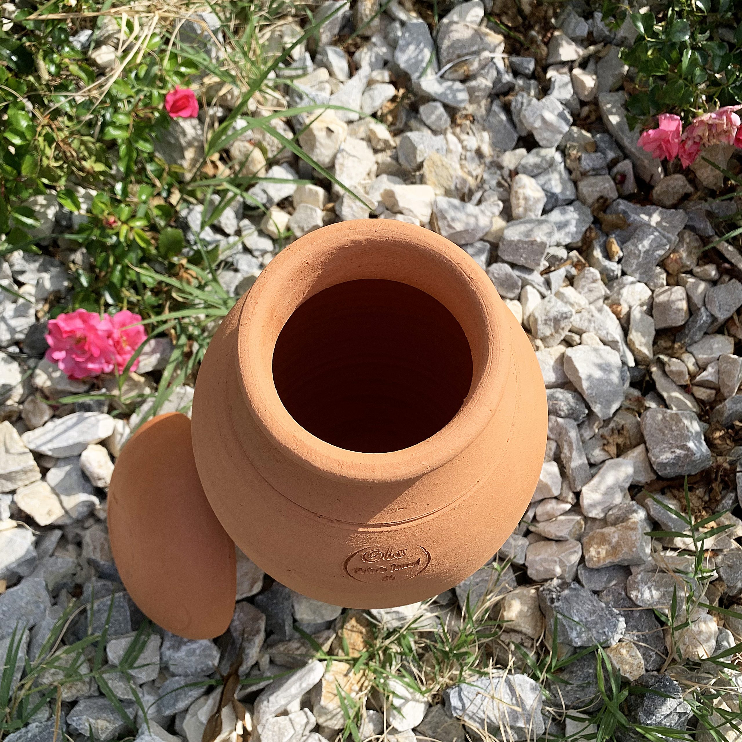 Ollas ORIGIN d’irrigation – 3 L – Image 2