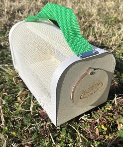 Boîte d&rsquo;observation des insectes