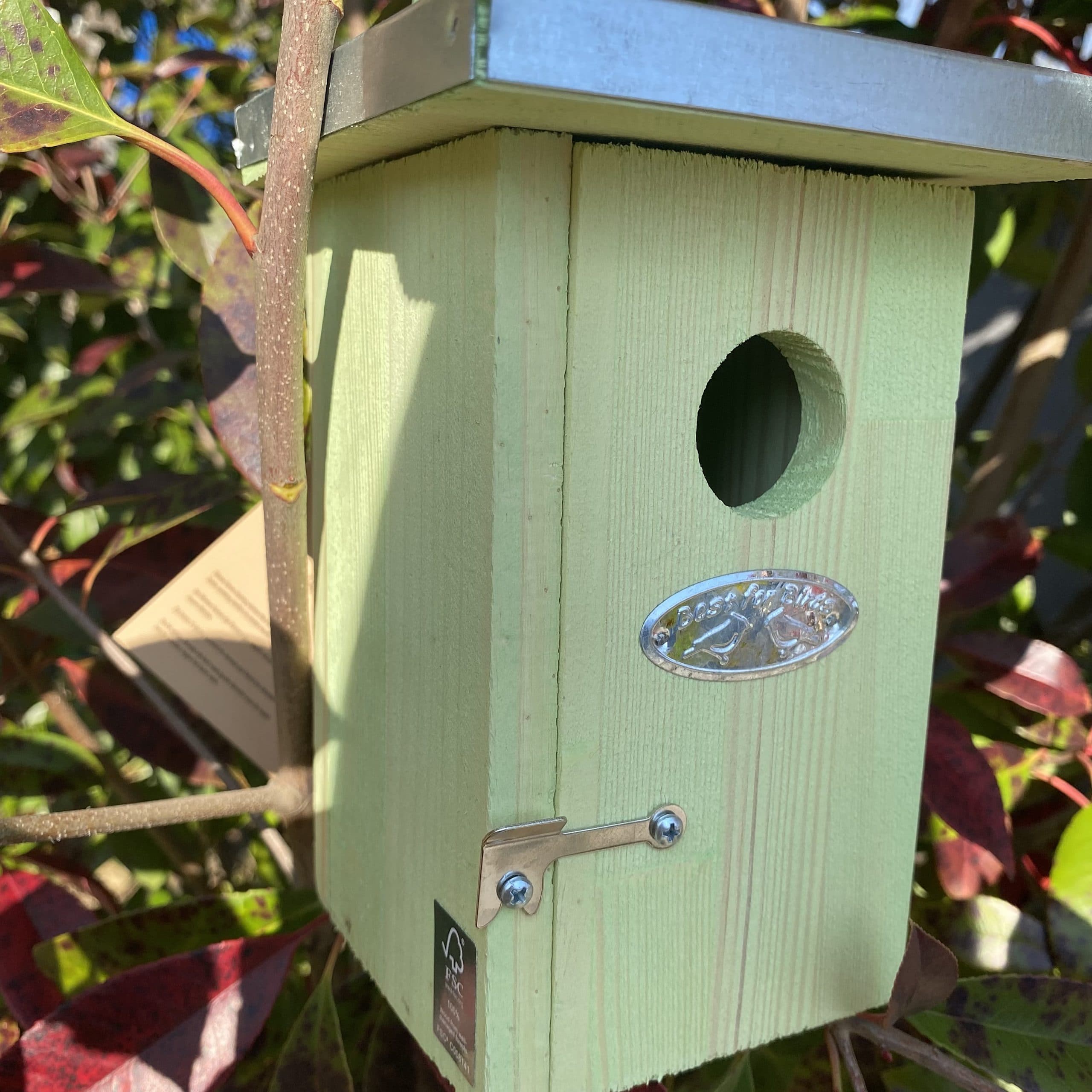 Nichoir roitelet – Image 4