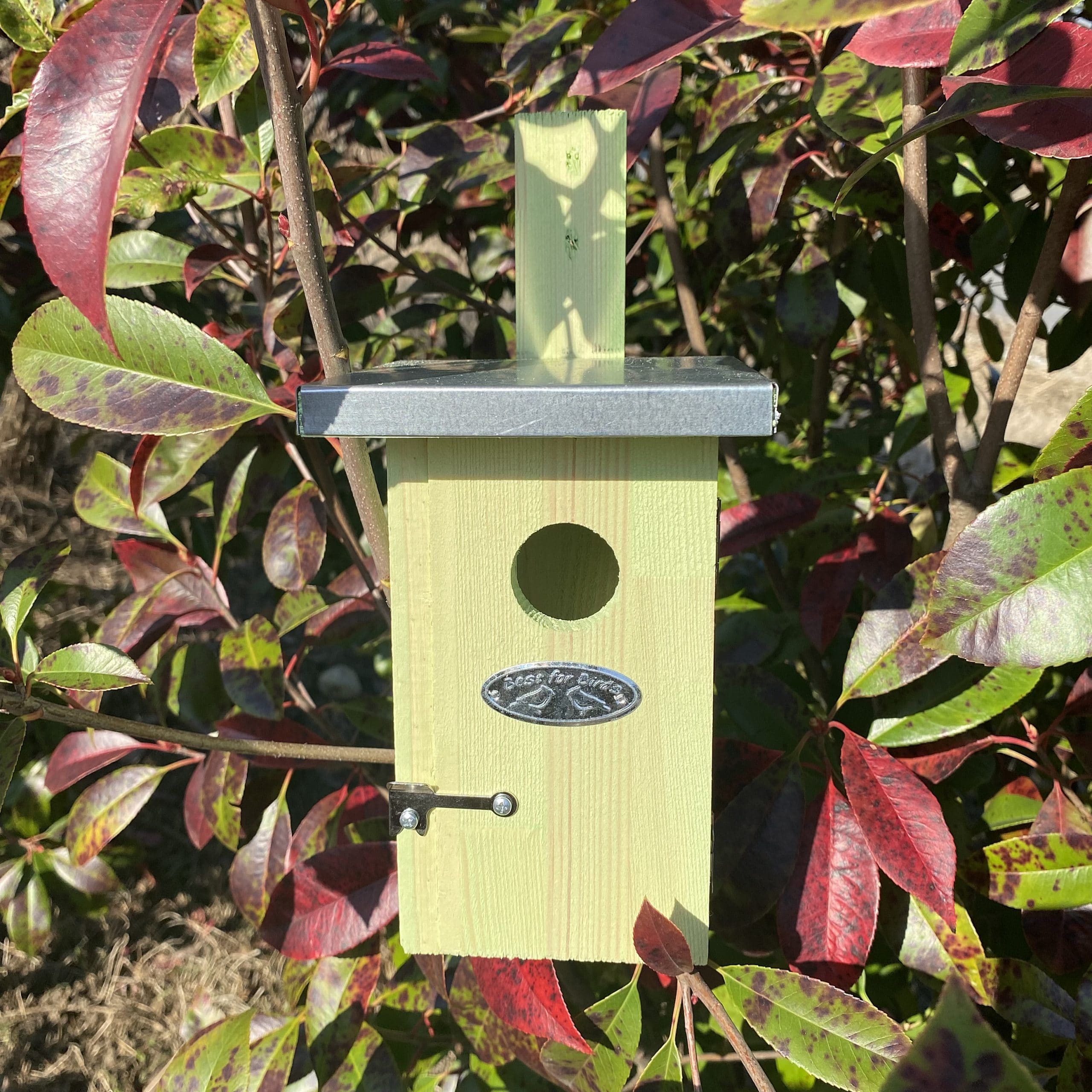 Nichoir roitelet – Image 2