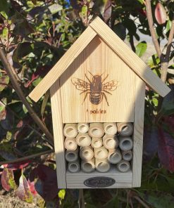 Abri abeilles silhouette