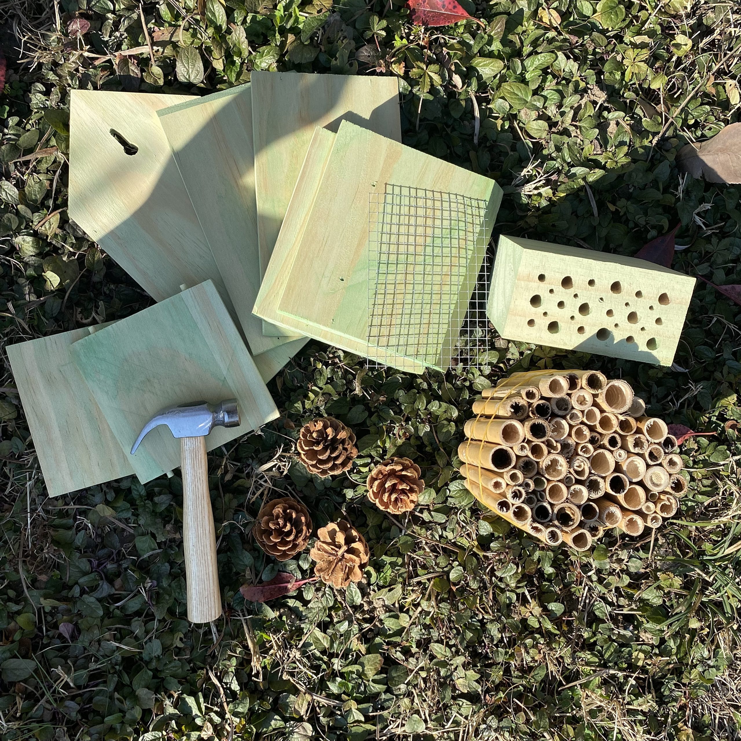 Hotel a insectes a assembler – Image 2