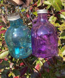 Piège à guêpes mural en verre