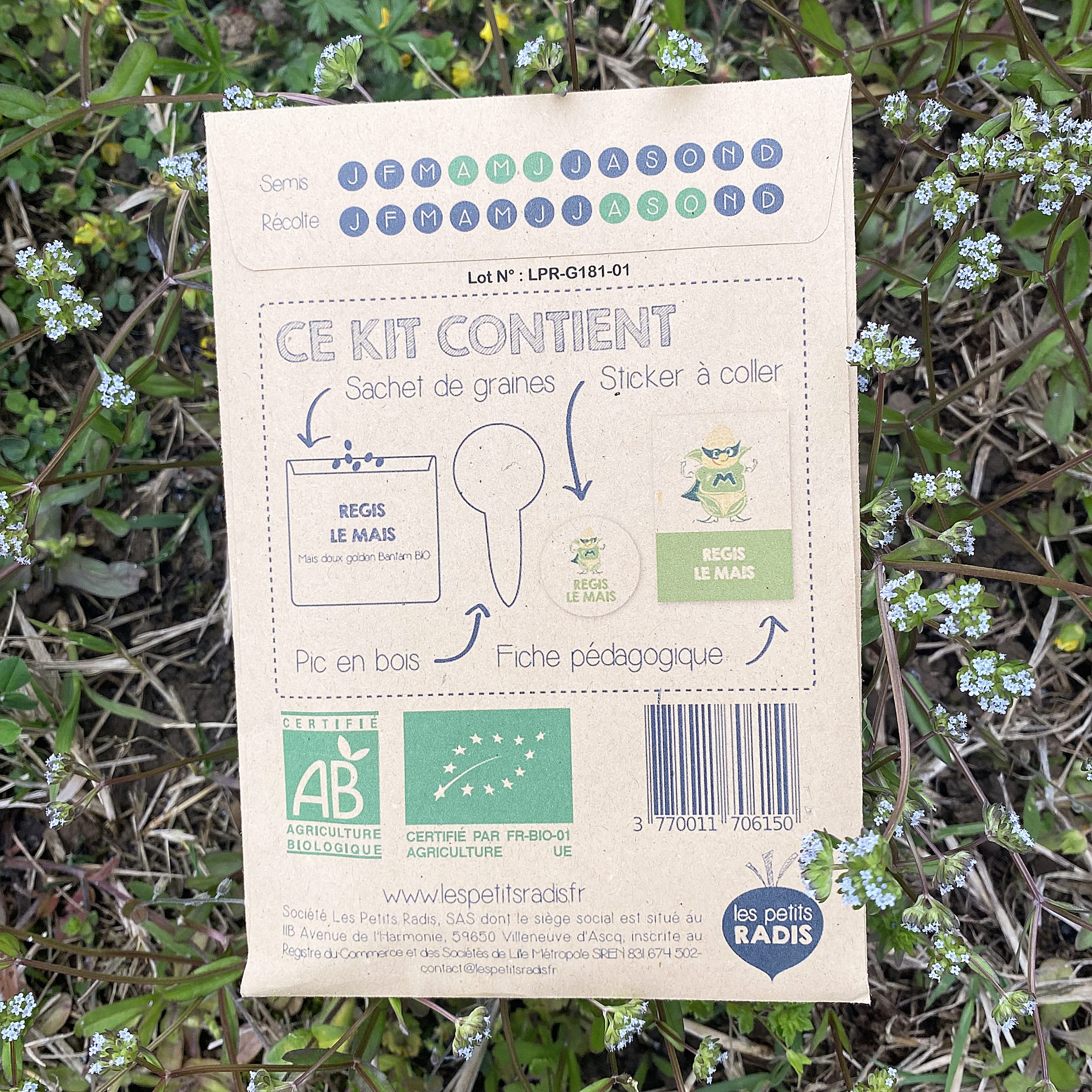 Mini kit de graines – Régis le maïs BIO – Image 2