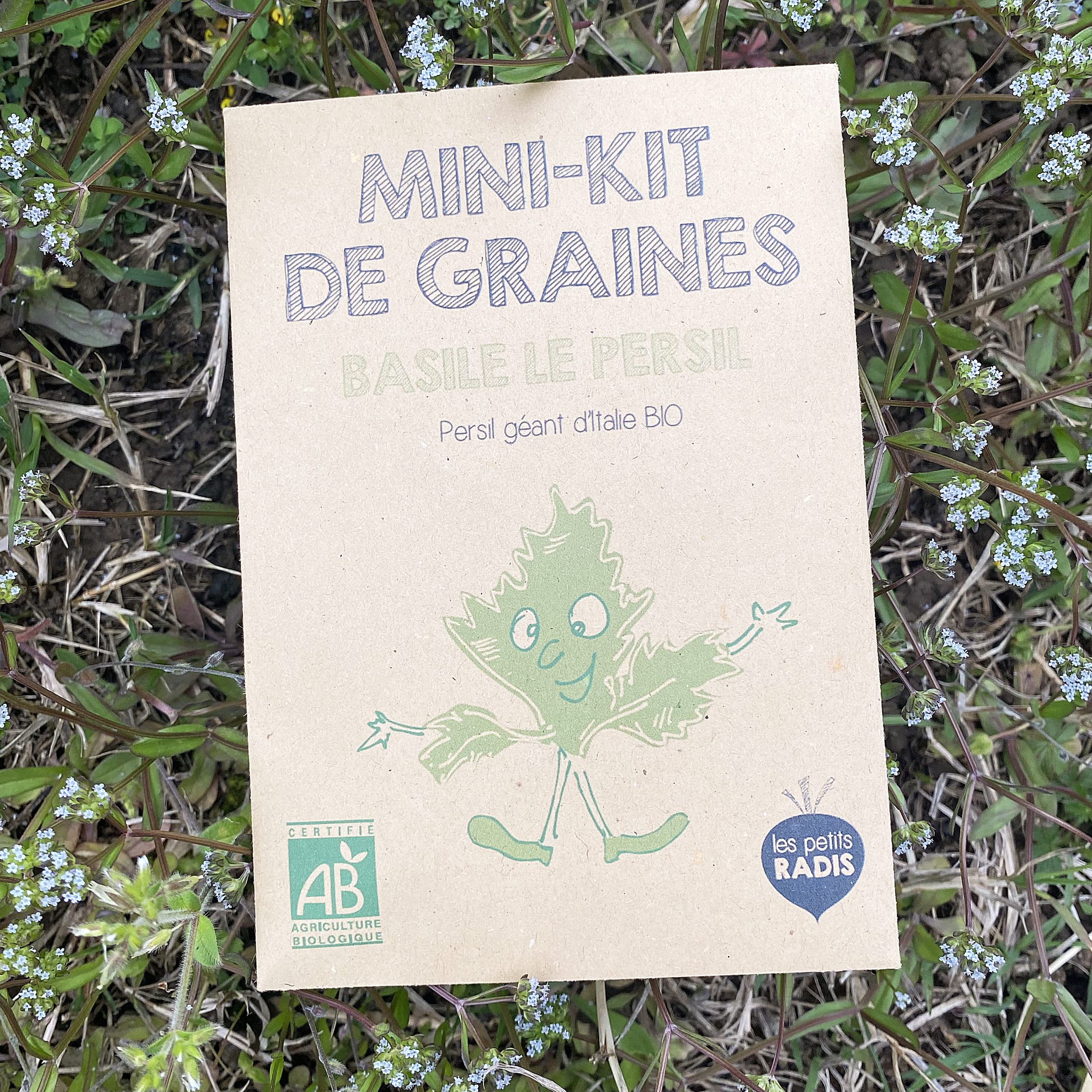 Mini kit de graines – Basile le persil