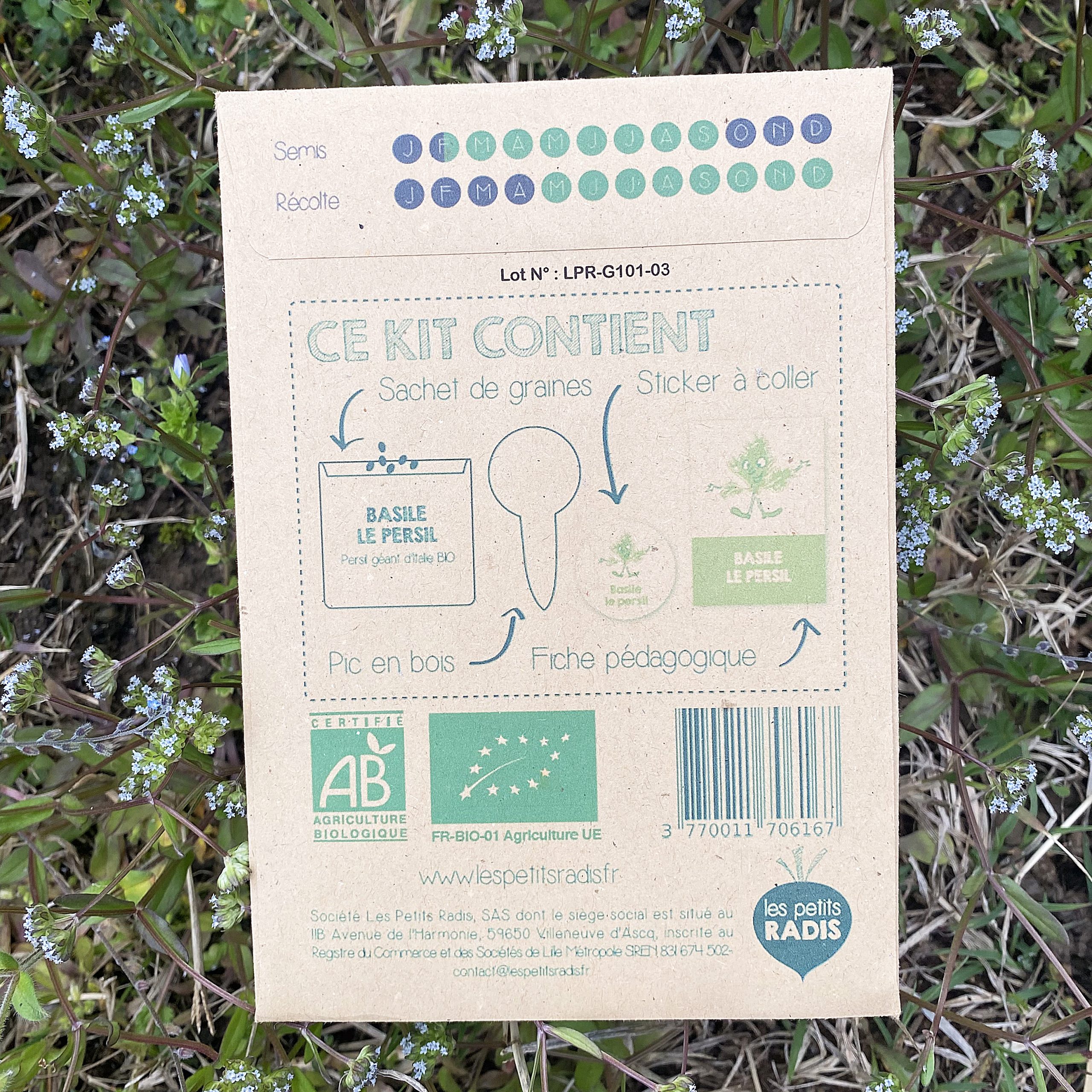 Mini kit de graines – Basile le persil – Image 3