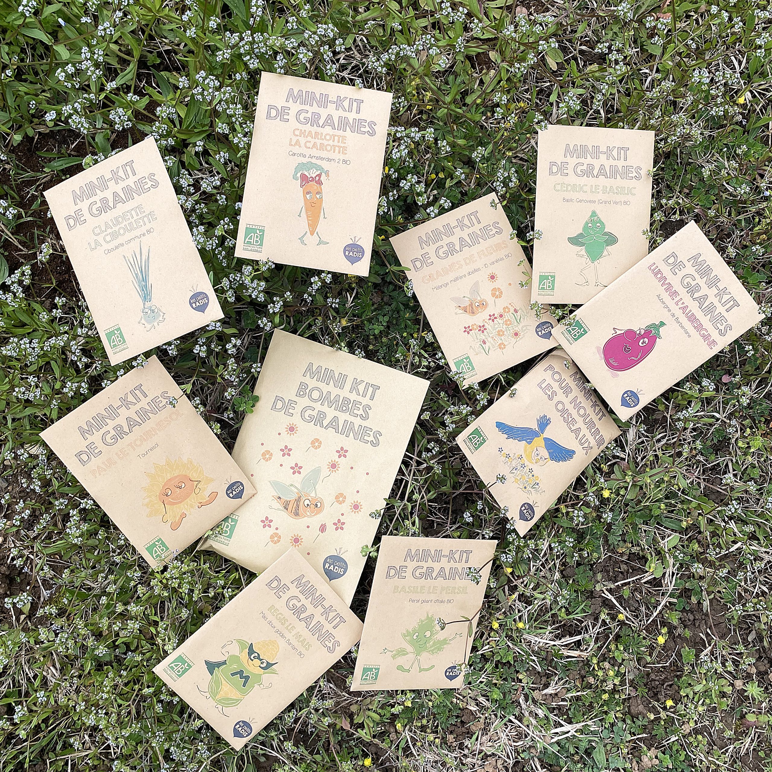 Mini kit de graines – Basile le persil – Image 2