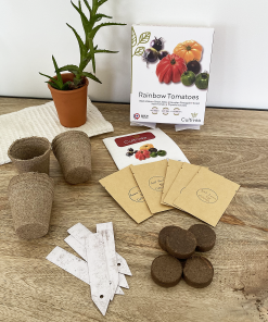 Coffret : Je fais pousser mes tomates arc-en-ciel BIO