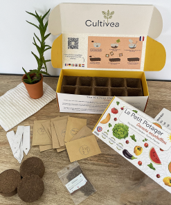 Coffret : Le Petit Potager Saveurs ensoleillées BIO