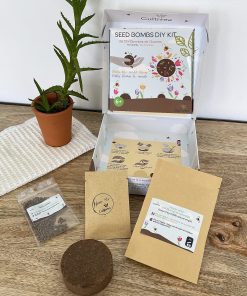 Kit DIY Bombes de Graines