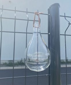 Attrape-mouche en verre