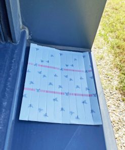 10 bandes attrape-mouches