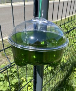 Piège écologique pour guêpes et frelons
