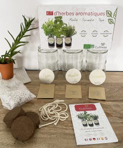 Kit d’herbes aromatiques BIO – (Menthe, Coriandre, Thym)
