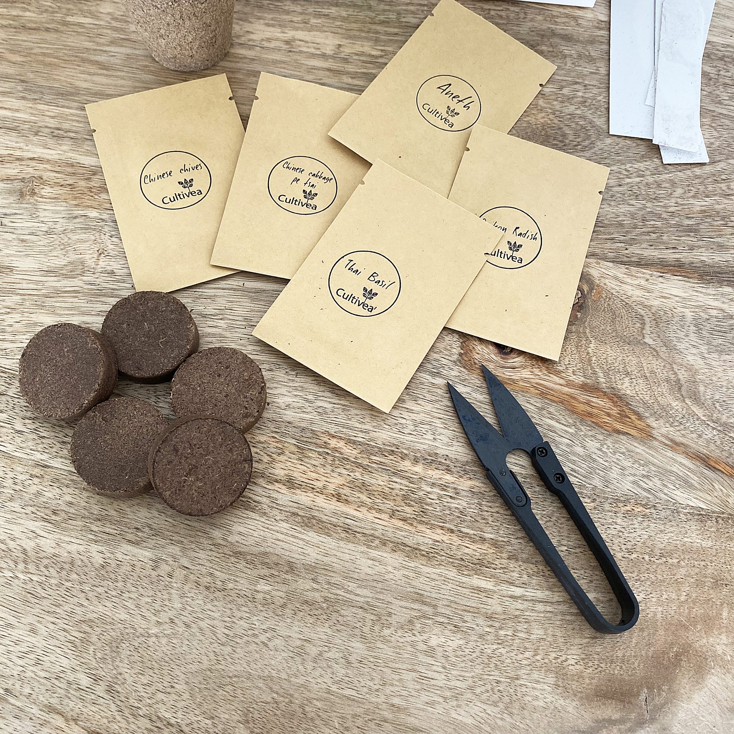 Coffret : Je fais pousser mon menu asiatique BIO – Image 3