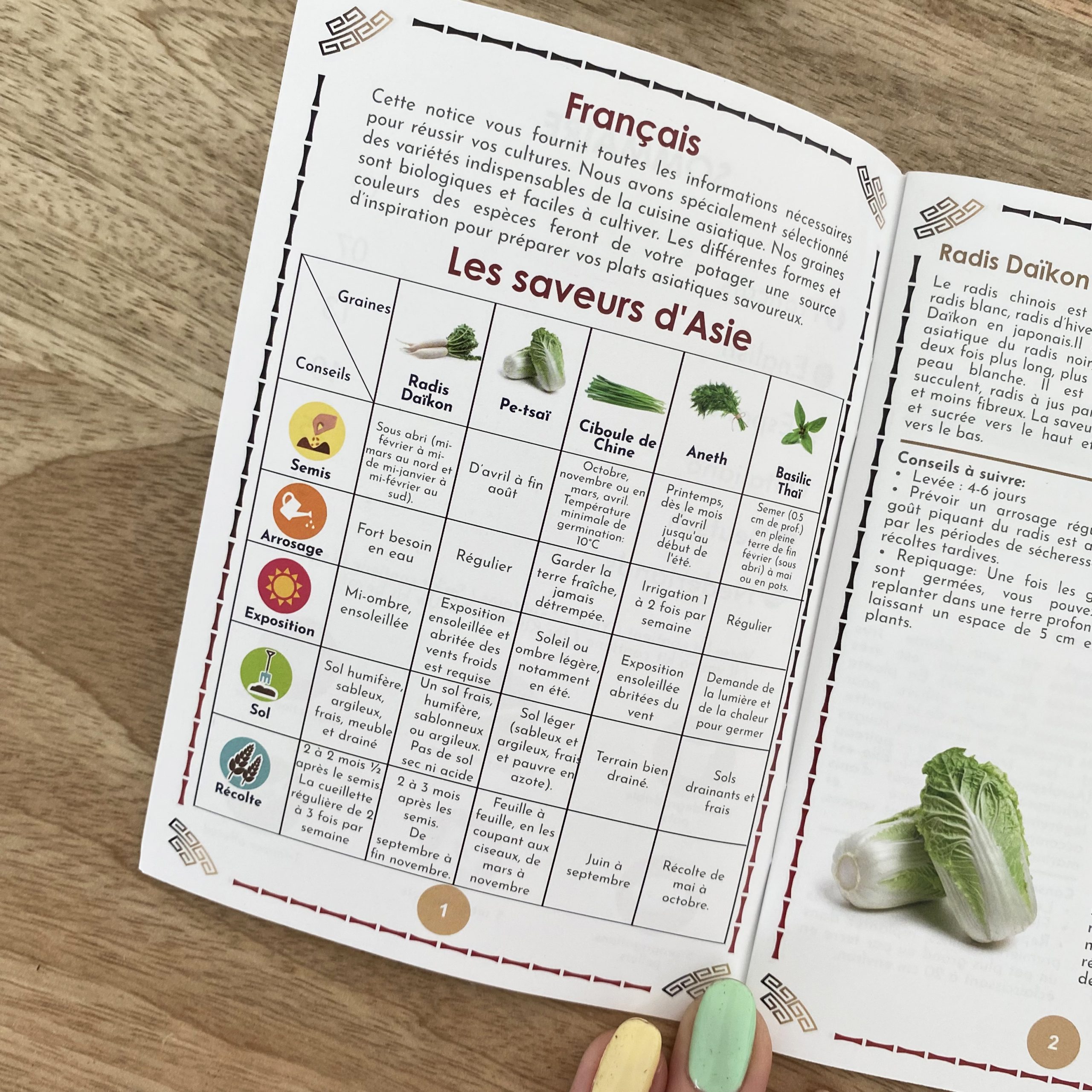 Coffret : Je fais pousser mon menu asiatique BIO – Image 4