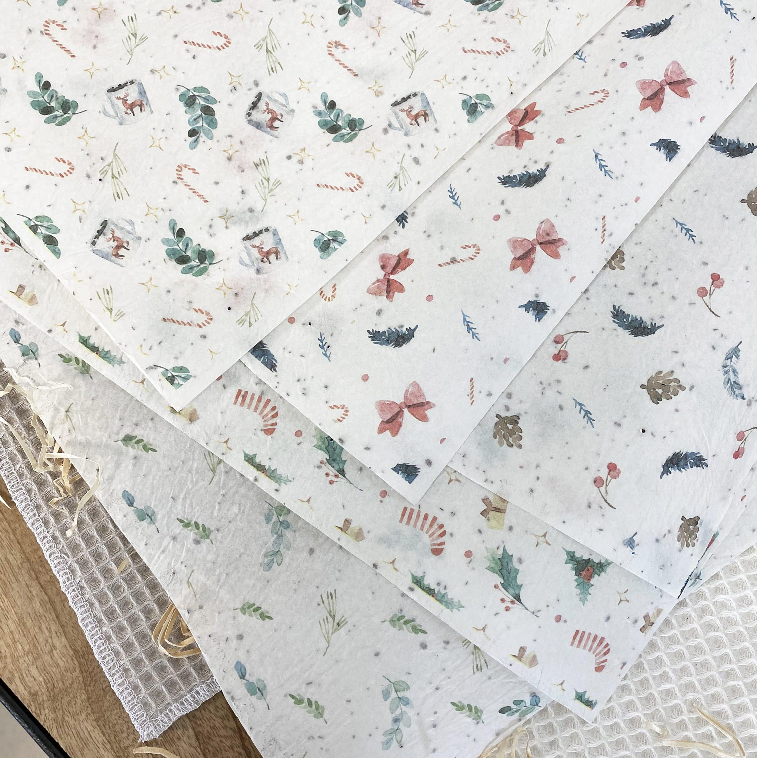 Mon papier cadeau de Noel ensemencé à planter – Lot de 5 – Image 4