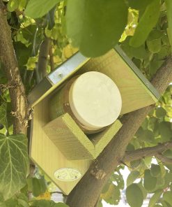 Set abri et beurre de cacahuète pour oiseaux