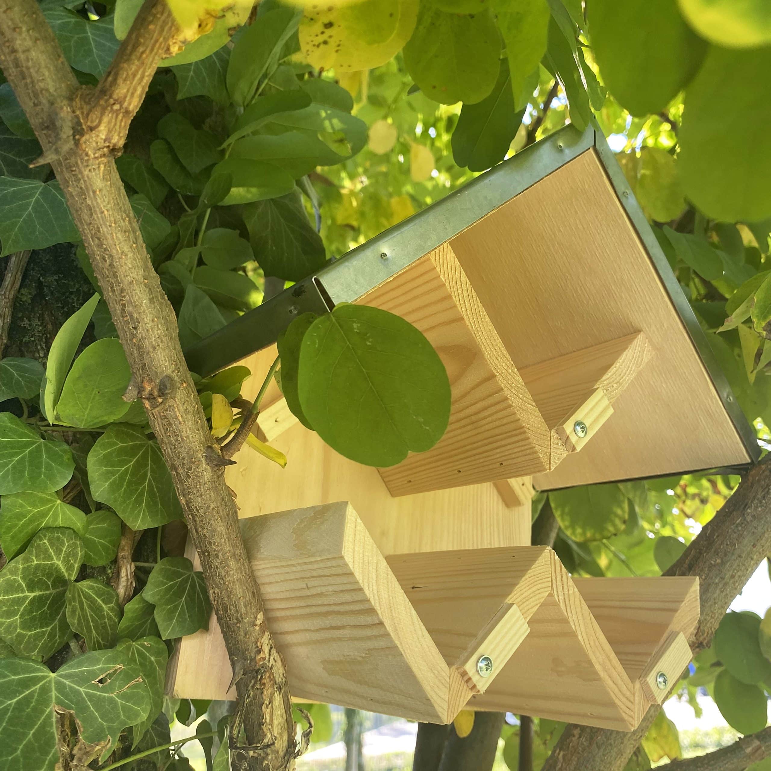 Mangeoire beurre de cacahuète triple – Image 2