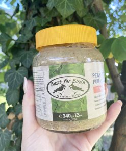 Beurre de cacahuète aux fruits, pour oiseaux