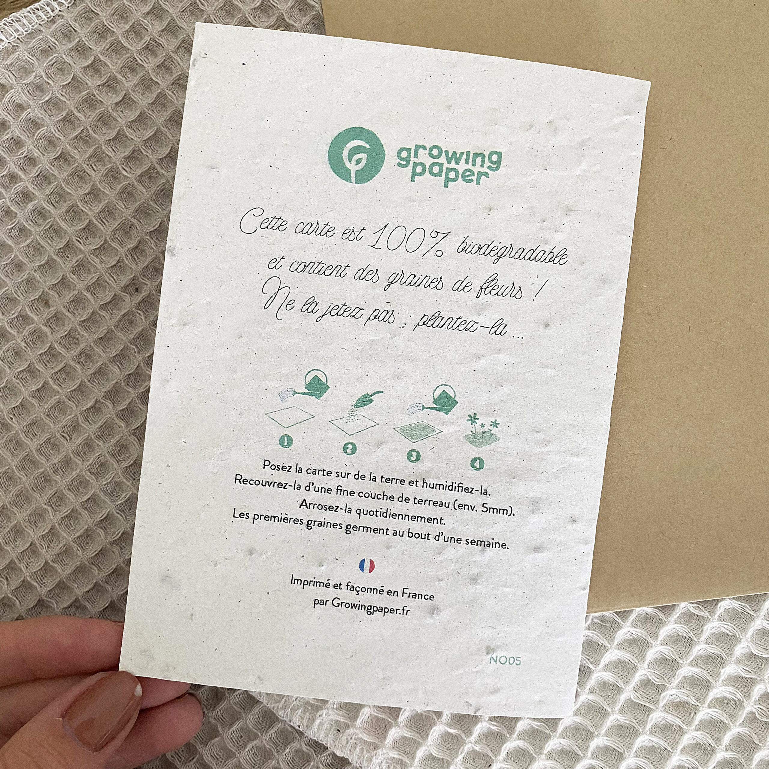 Carte ensemencée à planter – Joyeux Noël – Image 5