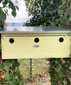 Appartement pour moineaux 3 nids