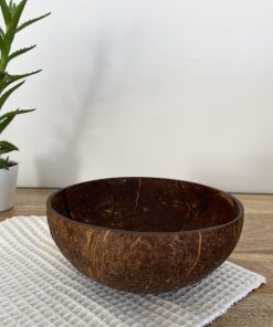 Bol en noix de coco brut