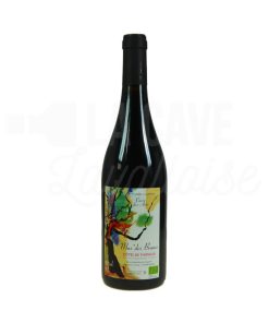 Côtes de Thongue – Cuvée des Arts – Mas des Brunes – 75cl
