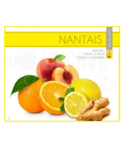 LE NANTAIS 12° – 3 Litres – Pêche, Citron, Orange, Gingembre