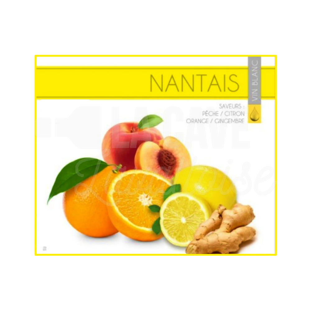 LE NANTAIS 12° – 3 Litres – Pêche, Citron, Orange, Gingembre