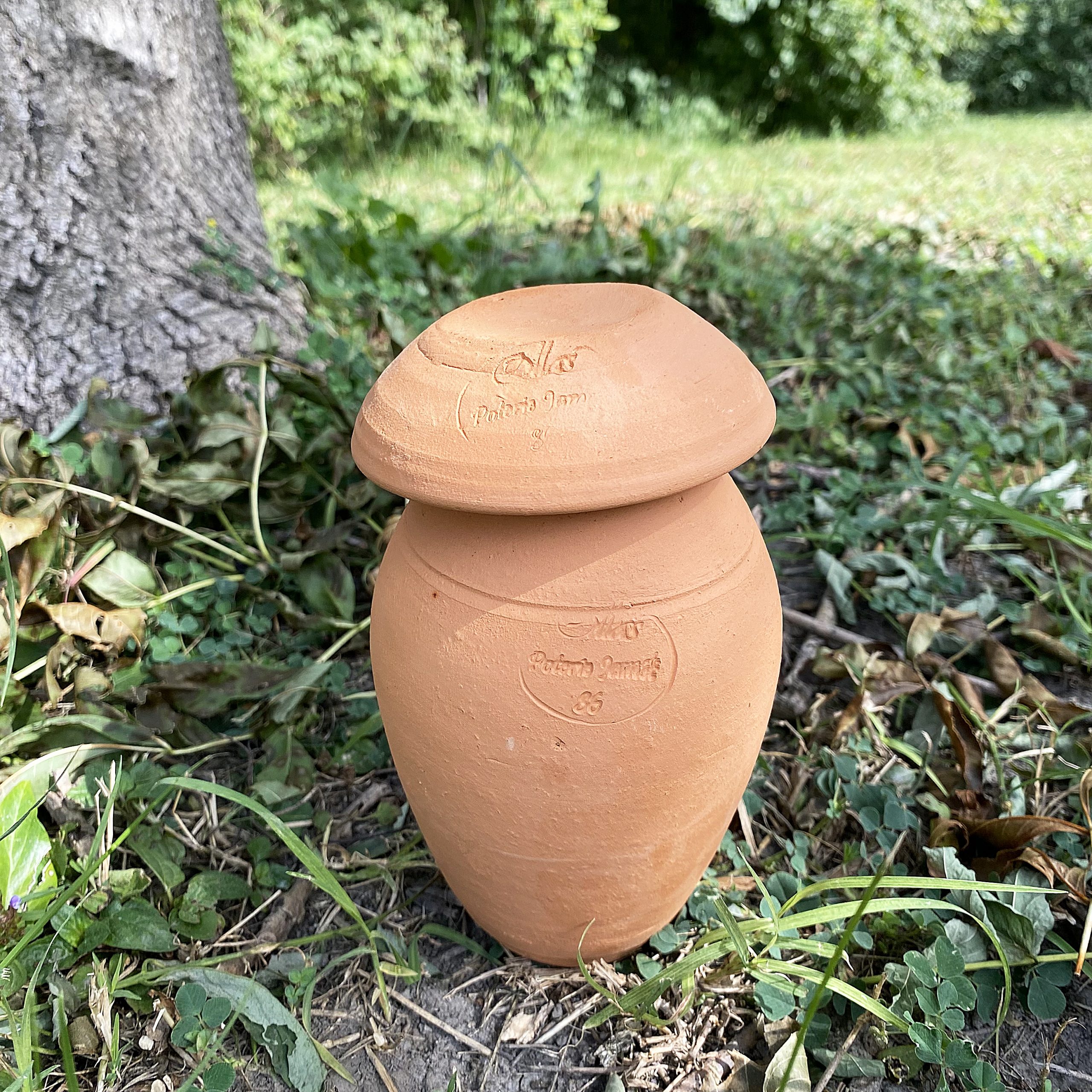 Ollas ORIGIN d’irrigation – 0,5 L – Image 6